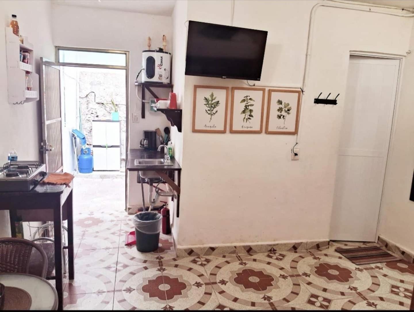 Cozy Studio Wkitchen Isla Mujeres Punta Norte Exterior foto
